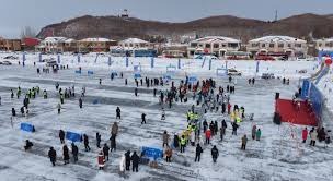 解析“赌债暴力”：地下博彩链条中不可回避的社会阴暗面。（揭示“赌债暴力”：地下博彩链条背后不容忽视的社会黑暗）